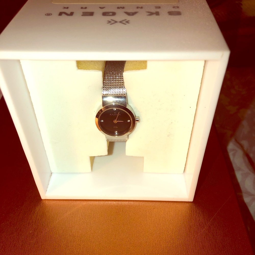 Skagen Women’s Watch